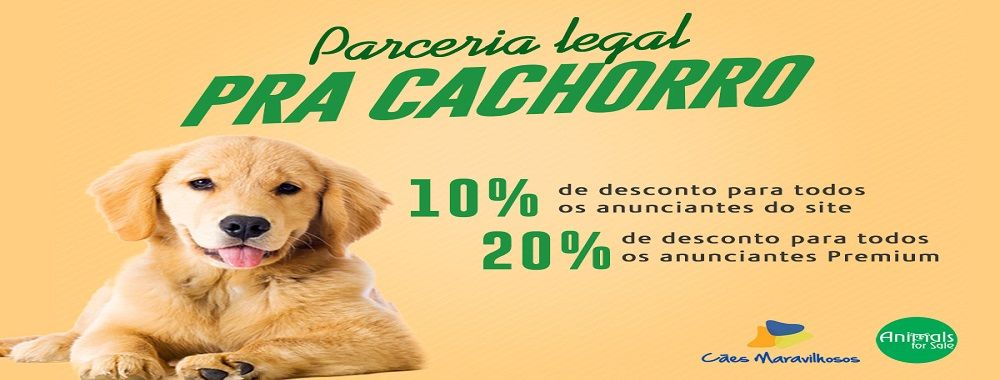 Banner Parceria Legal pra Cachorro