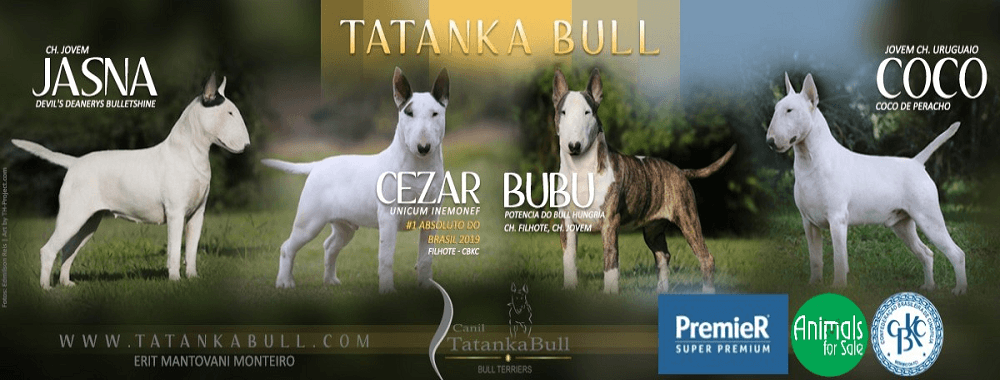 Banner Tatanka Horizontal